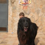REX